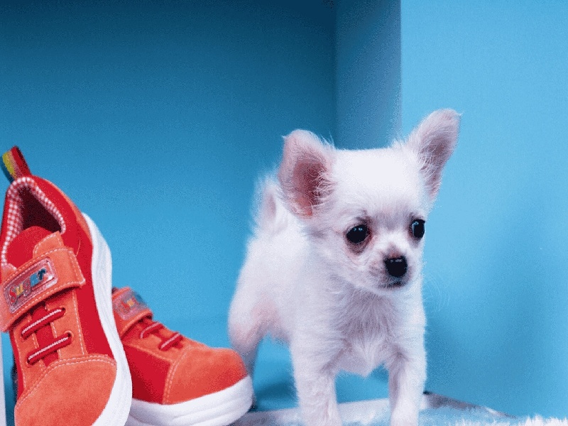 试管要求检查免疫,合肥试管105医院